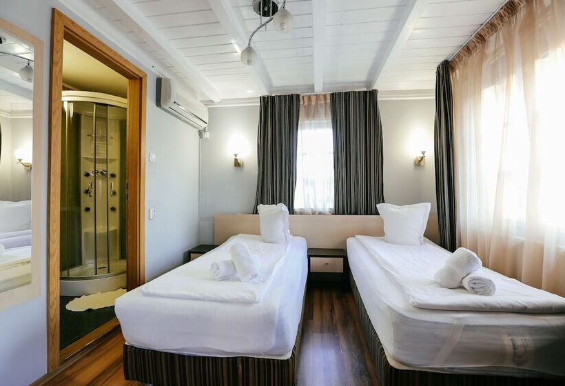 スタンダードルーム, Pensiunea Vidalis