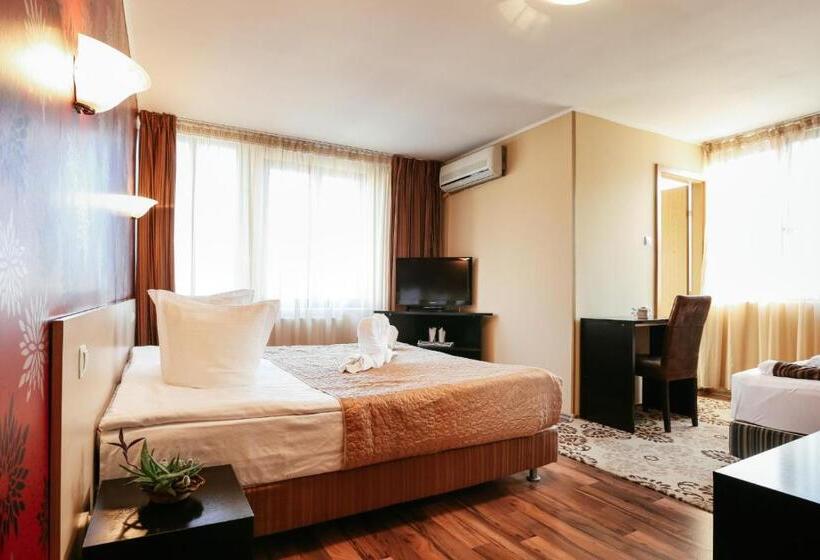 スタンダードトリプルルーム, Pensiunea Vidalis