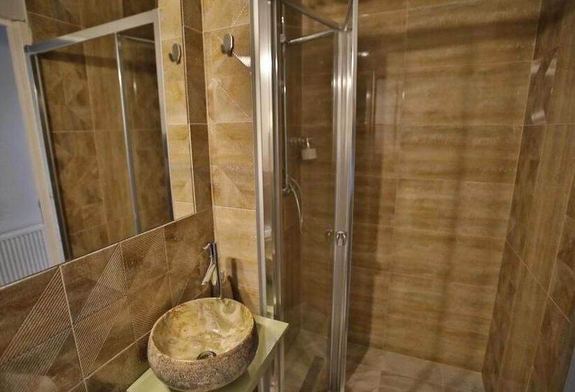 スーペリアシングルルーム, Pensiunea Vidalis