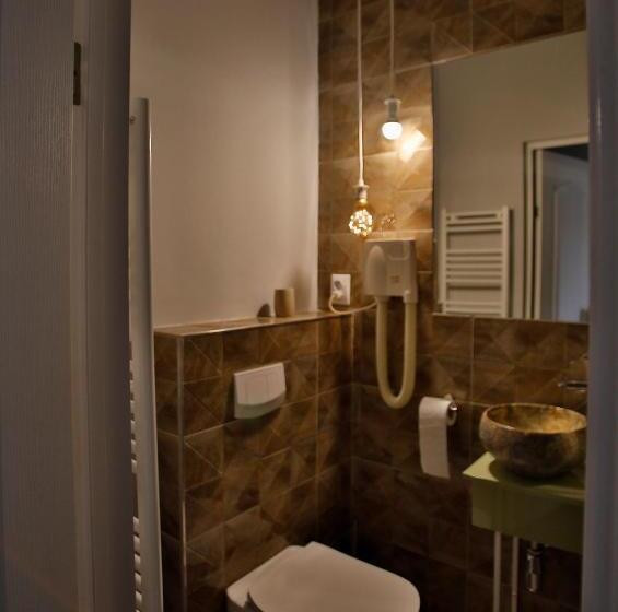 スーペリアシングルルーム, Pensiunea Vidalis