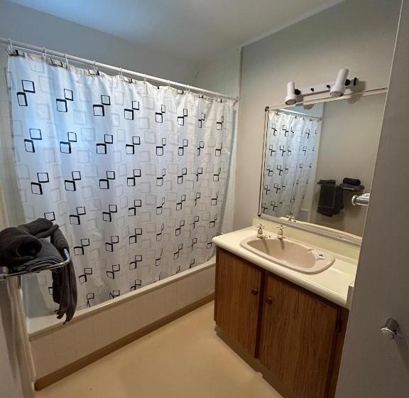 آپارتمان 1 خوابه, Masterton Motor Lodge