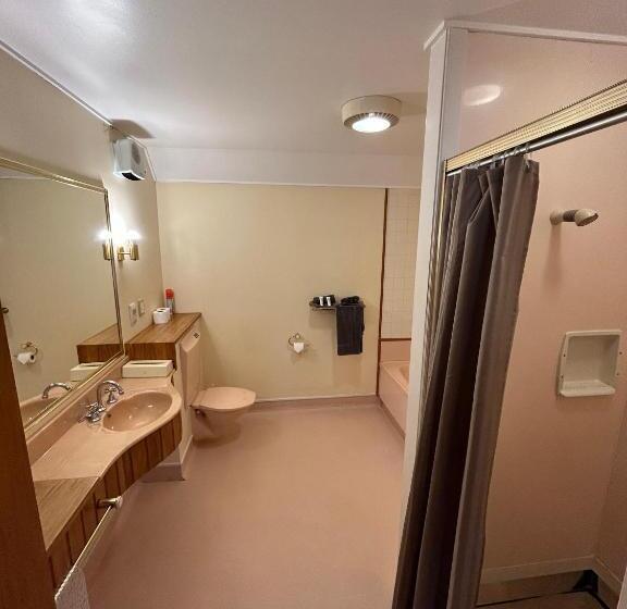 سوییت اجرایی, Masterton Motor Lodge