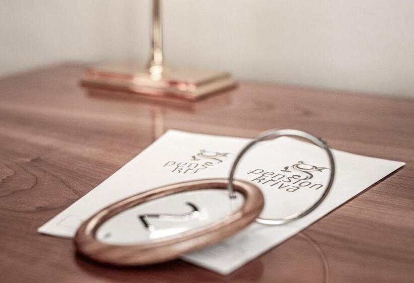 スタンダードルーム, Pension Křivá