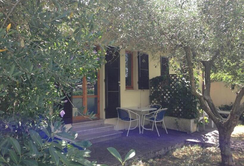 شقة غرفة واحدة, Residence Ranieri