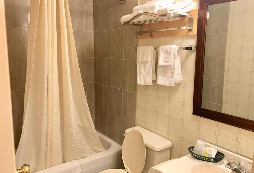 غرفه قياسيه سريرين مزدوجين, Valley Inn Motel