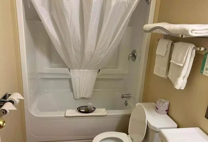 اتاق استاندارد با تخت بزرگ, Valley Inn Motel