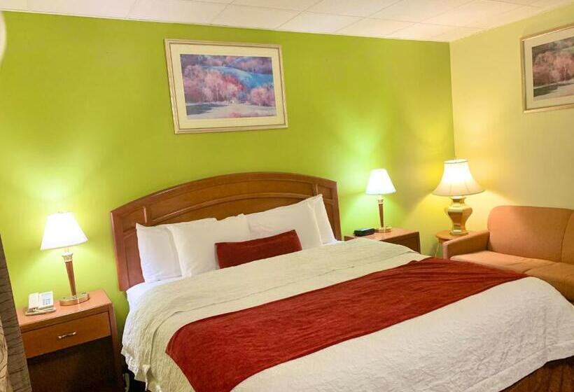 غرفة قياسية سرير كينج, Valley Inn Motel