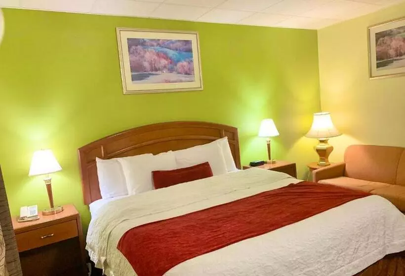 اتاق استاندارد با تخت بزرگ, Valley Inn Motel