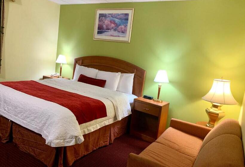 غرفة قياسية سرير كينج, Valley Inn Motel