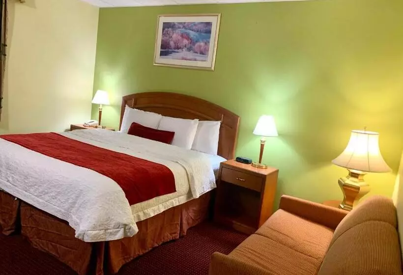 اتاق استاندارد با تخت بزرگ, Valley Inn Motel