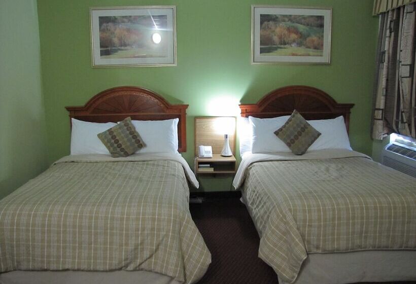 غرفه قياسيه سريرين مزدوجين, Valley Inn Motel
