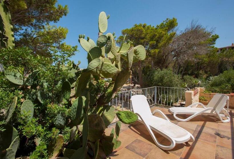 סוויטה עם טרסה, Villa Belfiori