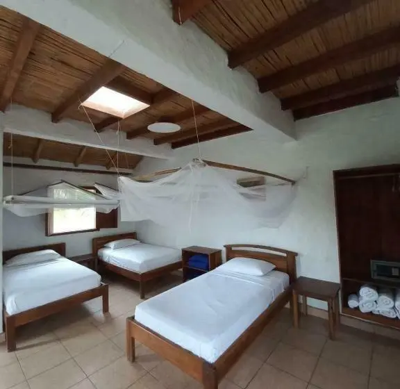 Quarto Familiar, Bambú