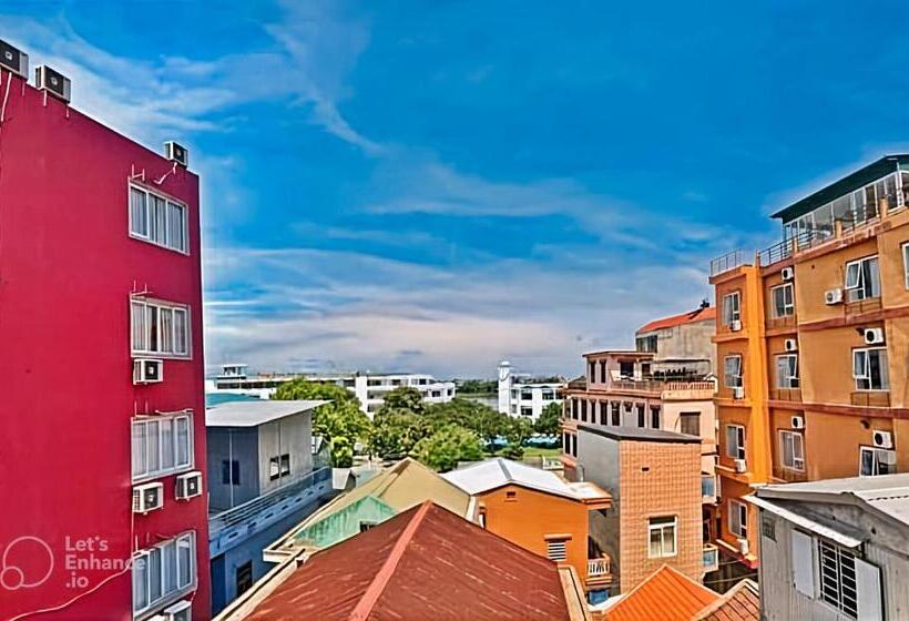 Economy Triple Room, Hue Pink Lotus