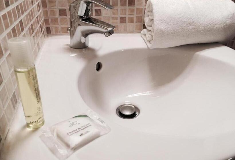 Номер Стандарт, Brit Hôtel Du Parc Niort Centre Parking Gratuit