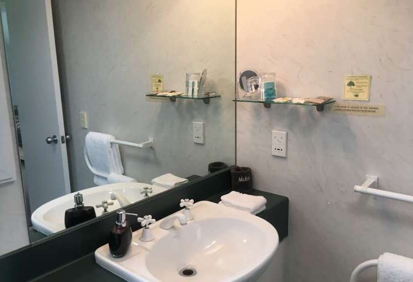 スタンダードスタジオ, Colonial Manor Motel