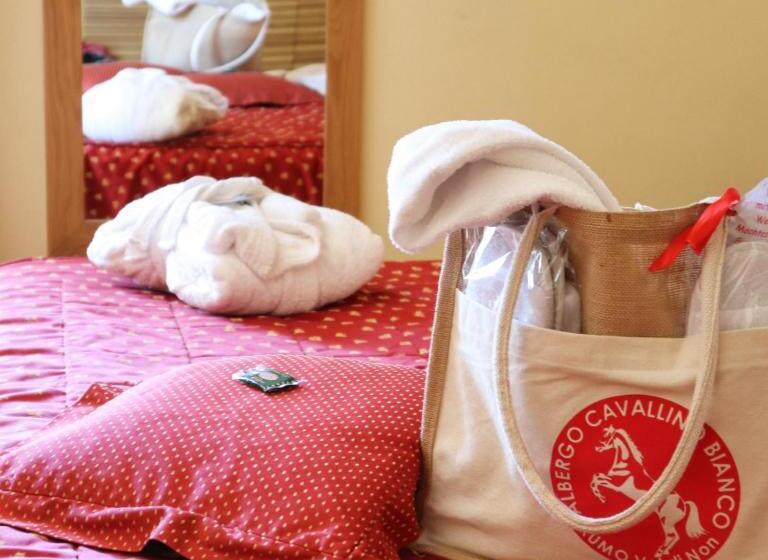 스탠다드 발코니 룸, Albergo Cavallino Bianco