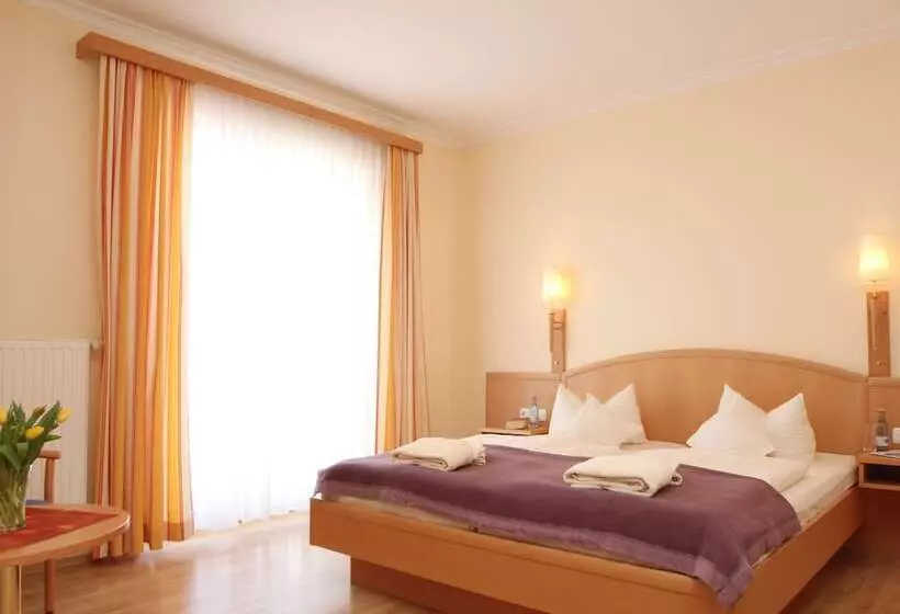 Standard-huone Parveke, Garni Arte Vita