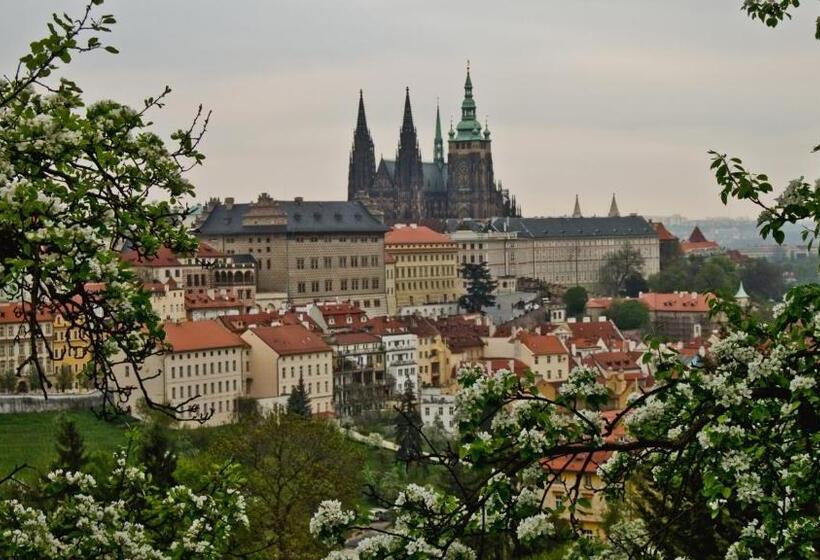 اتاق استاندارد چهار تخته, Askania