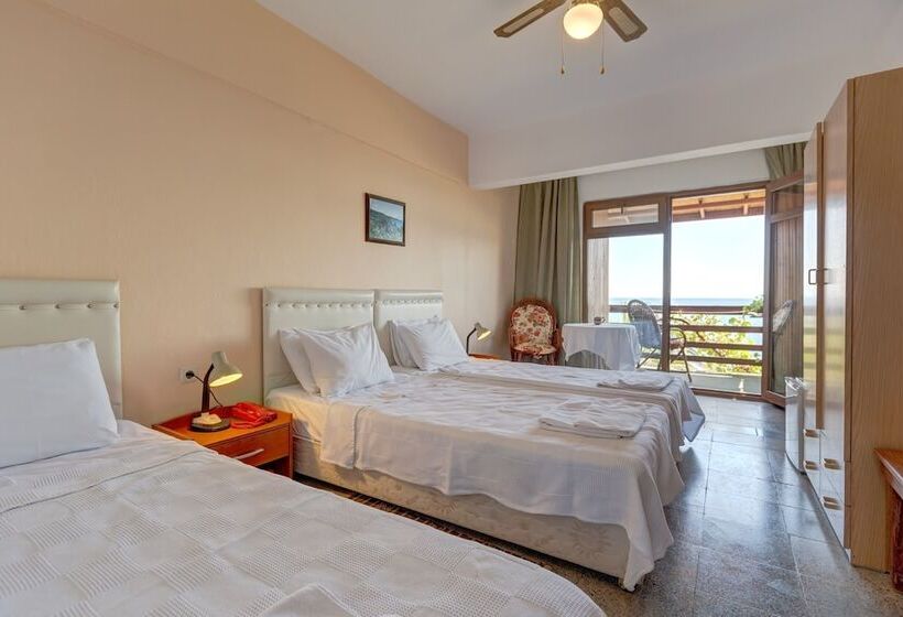 חדר סטנדרט יחיד, Assos Terrace