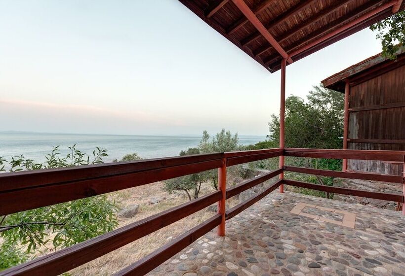 סוויטה, Assos Terrace