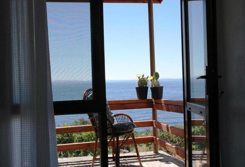 スタンダードルーム, Assos Terrace