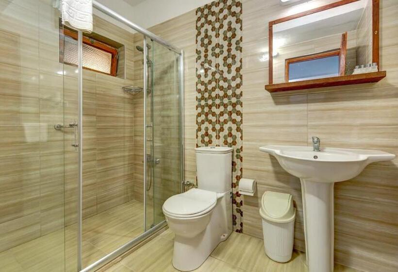 סוויטה, Assos Terrace