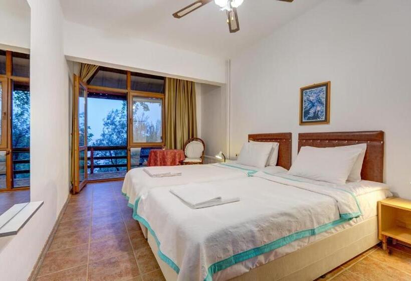 סוויטה, Assos Terrace