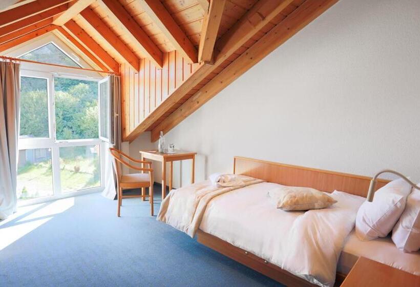 חדר סטנדרט יחיד, Bessunger Forst