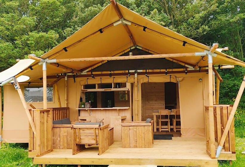 스탠다드 룸, Molengroet