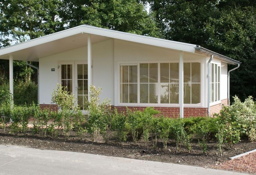 스탠다드 룸, Molengroet