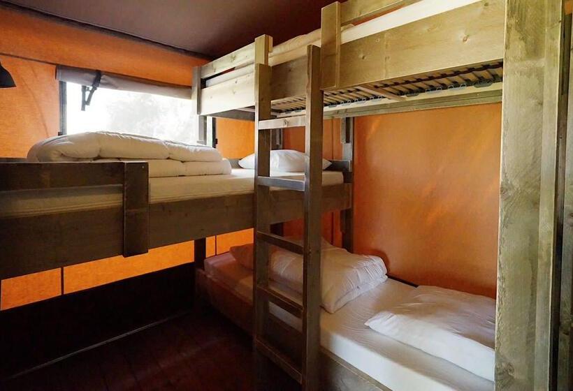 스탠다드 룸, Molengroet