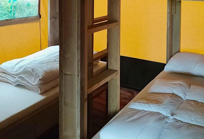 스탠다드 룸, Molengroet