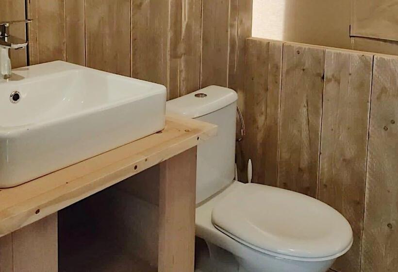 스탠다드 룸, Molengroet