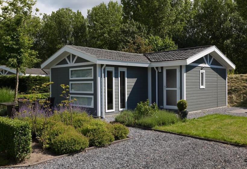 חדר סטנדרט, Molengroet