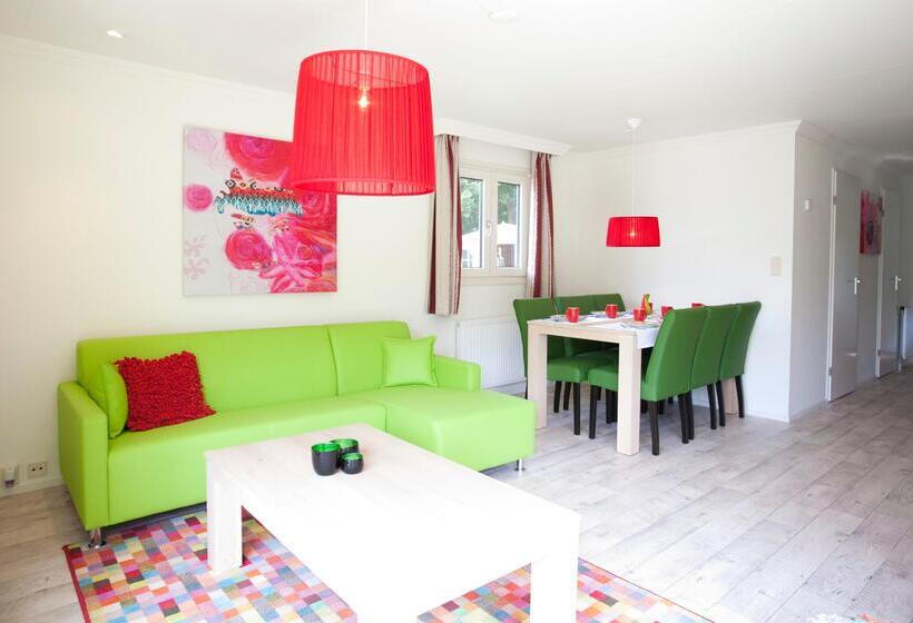 חדר סטנדרט, Molengroet