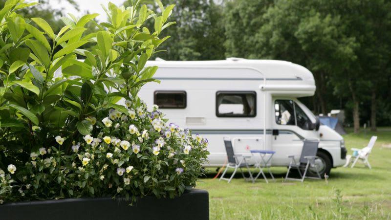 חדר סטנדרט, Molengroet