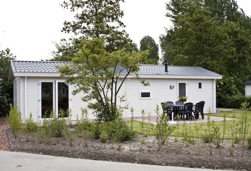 스탠다드 룸, Molengroet