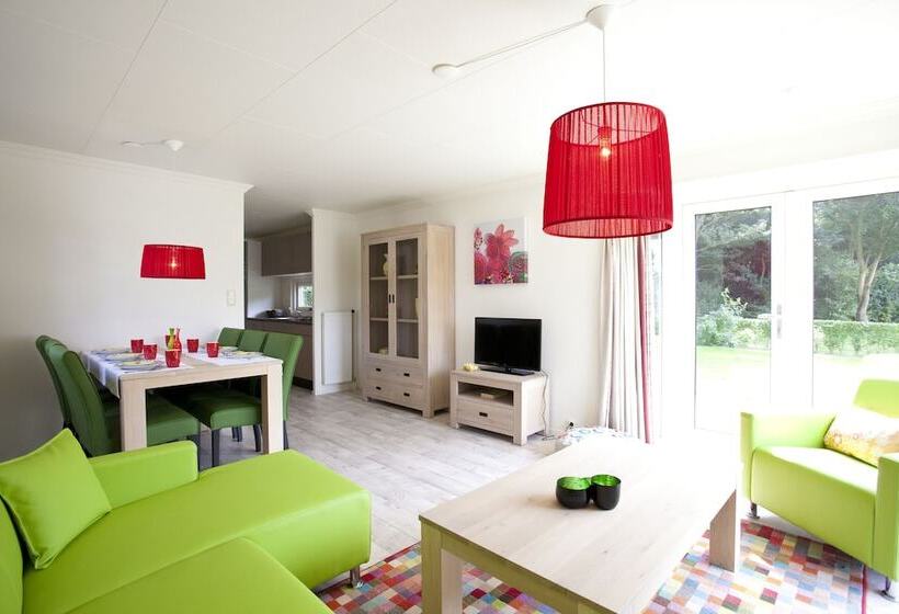 スタンダードルーム, Molengroet