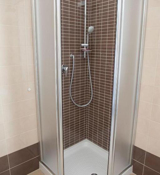 اتاق استاندارد یک نفره, Fini