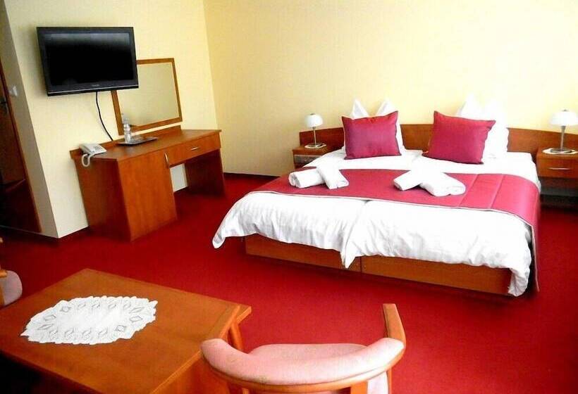 חדר סטנדרט יחיד, Grand Laola Spa