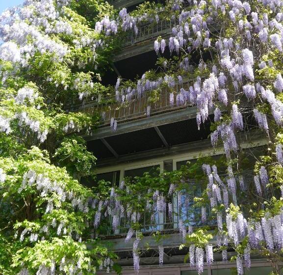 חדר משפתחתי סופריור, Pallazzo Alfonso