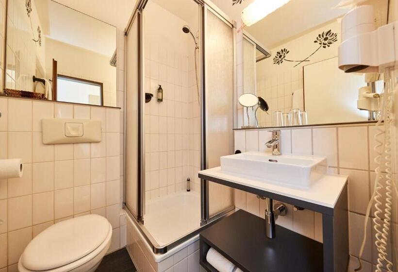 غرفة بريميوم فردية, Park Der Westerwald Treff