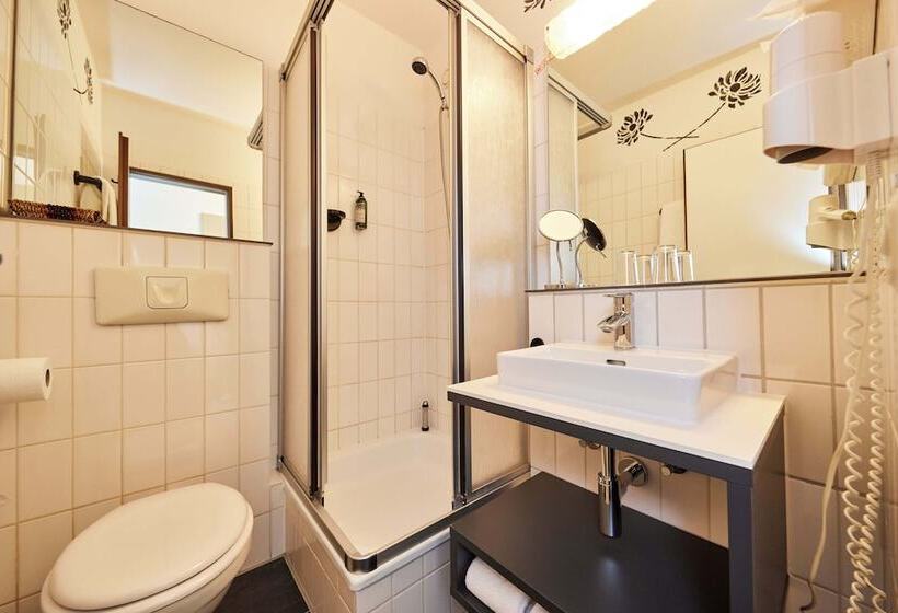 غرفة قياسية, Park Der Westerwald Treff