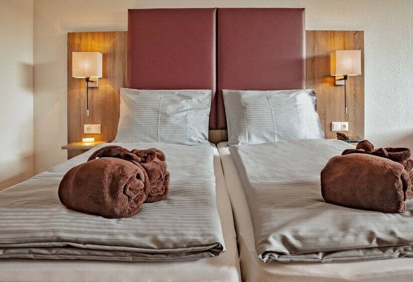 غرفة بريميوم فردية, Park Der Westerwald Treff