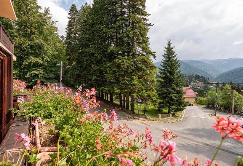 家族用アパートメント, Regal