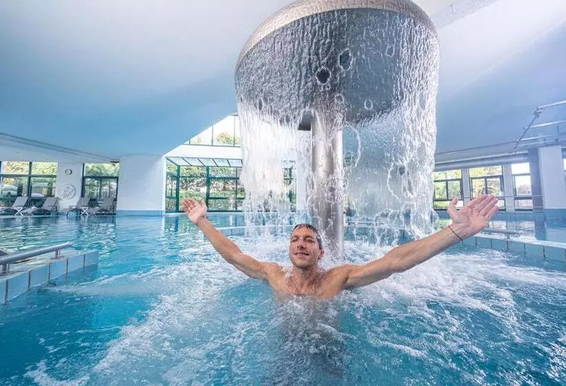 スタンダードシングルルーム, Terme Olympia