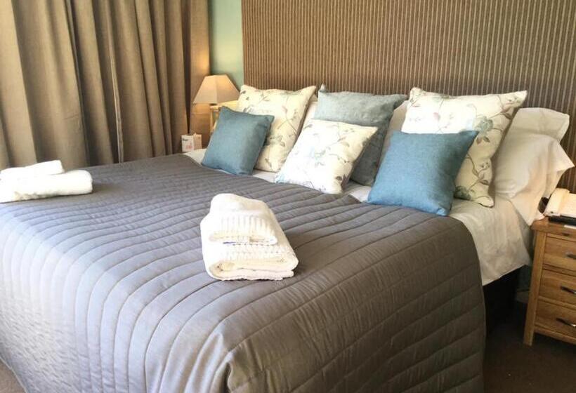 Номер Стандарт, The Manor