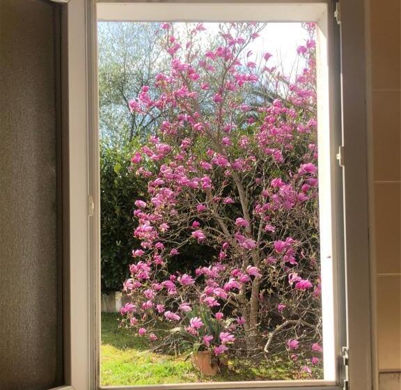 غرفة قياسية لذوى الاحتياجات الخاصة, Ursula