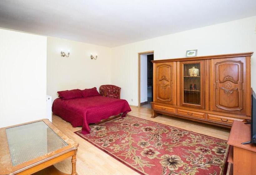 Люкс, Vila Retezat Sinaia